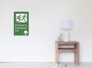 Accessible Exit Sign Project Wheelchair Wheelie Running Man Symbol Means of Egress Icon Disability Emergency Evacuation Fire Safety Lift Elevator Poster 10