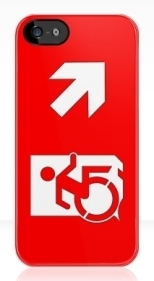Accessible Exit Sign Project Wheelchair Wheelie Running Man Symbol Means of Egress Icon Disability Emergency Evacuation Fire Safety iPhone Case 12
