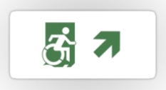 Accessible Exit Sign Project Wheelchair Wheelie Running Man Symbol Means of Egress Icon Disability Emergency Evacuation Fire Safety Sticker 91