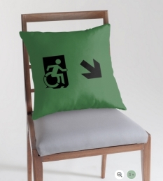 Accessible Exit Sign Project Wheelchair Wheelie Running Man Symbol Means of Egress Icon Disability Emergency Evacuation Fire Safety Throw Pillow Cushion 152