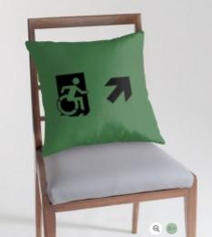 Accessible Exit Sign Project Wheelchair Wheelie Running Man Symbol Means of Egress Icon Disability Emergency Evacuation Fire Safety Throw Pillow Cushion 3