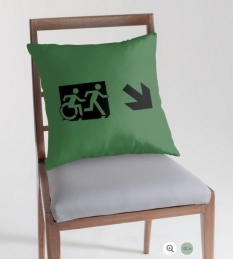 Accessible Exit Sign Project Wheelchair Wheelie Running Man Symbol Means of Egress Icon Disability Emergency Evacuation Fire Safety Throw Pillow Cushion 37
