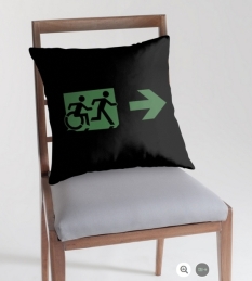 Accessible Exit Sign Project Wheelchair Wheelie Running Man Symbol Means of Egress Icon Disability Emergency Evacuation Fire Safety Throw Pillow Cushion 71