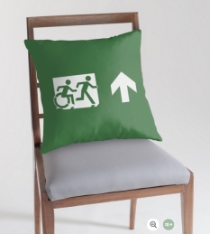 Accessible Exit Sign Project Wheelchair Wheelie Running Man Symbol Means of Egress Icon Disability Emergency Evacuation Fire Safety Throw Pillow Cushion 88